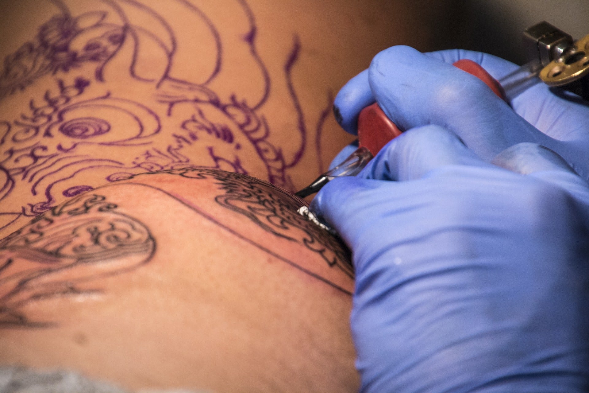 look after a new tattoo