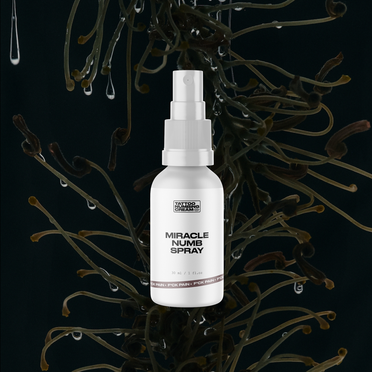 XL Miracle Numb Spray